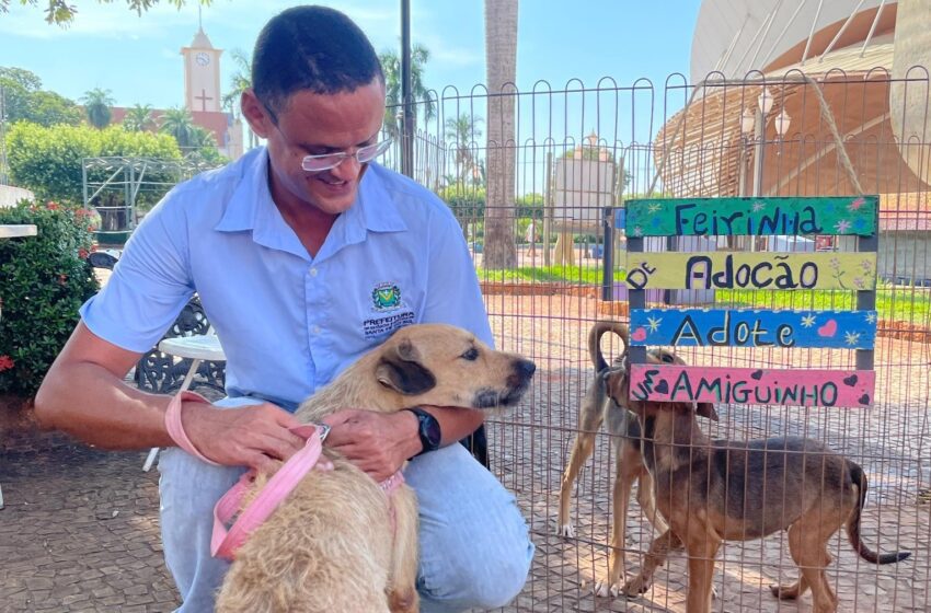  Santa Fé do Sul realiza feira de adoção de animais; a exposição acontece aos sábados na Praça Salles Filho