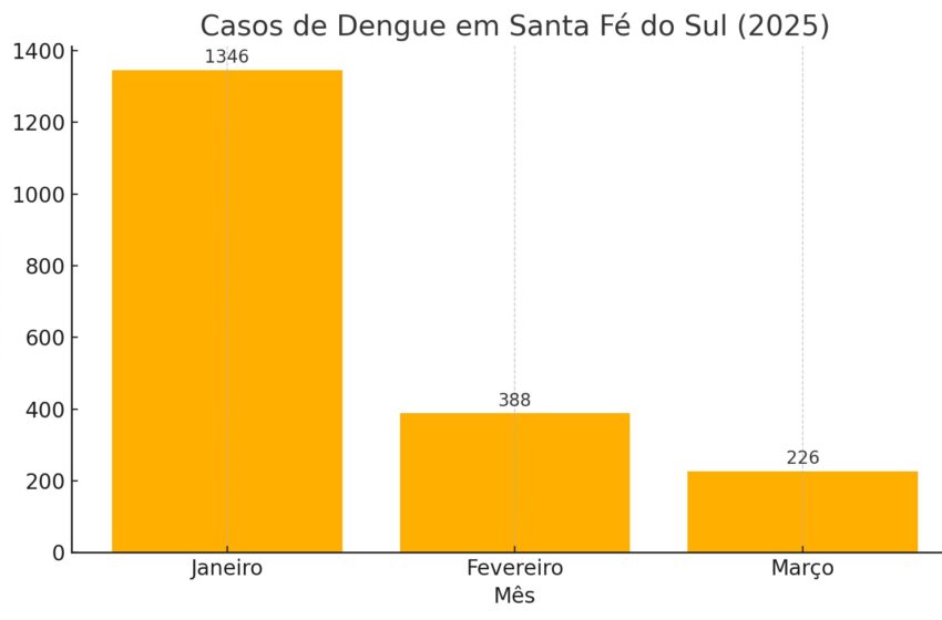  Santa Fé do Sul reduz em 83% os casos de dengue com ações integradas de combate ao Aedes aegypti