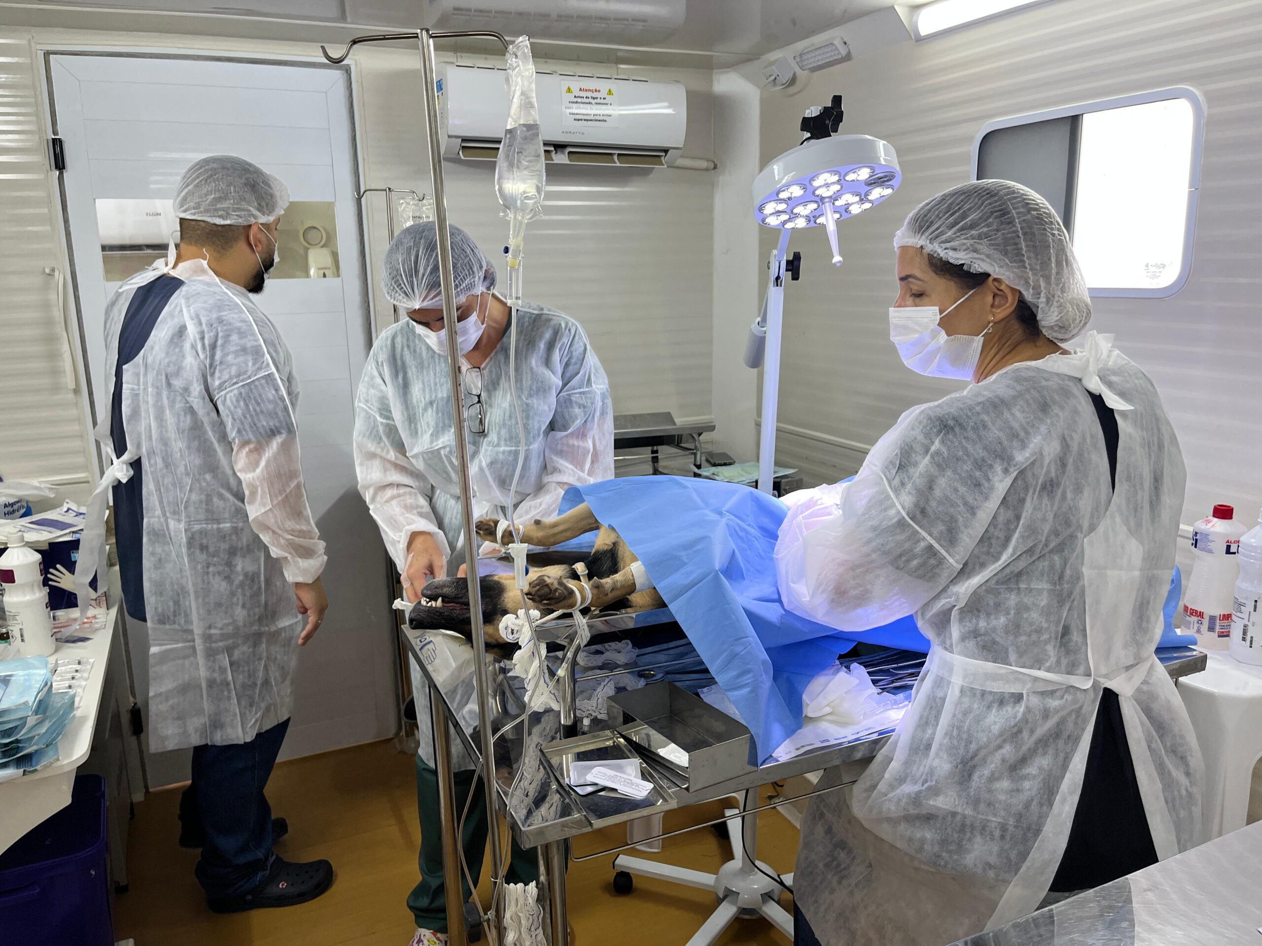 Castramóvel realiza mais uma ação eficiente e castra quase 300 animais na Vila Mariana