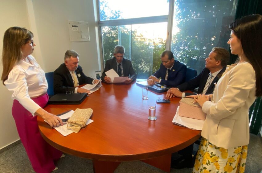  Executivo e Legislativo de Santa Fé do Sul agradecem a Senadora Mara Gabrilli por envio de emendas para a Santa Casa