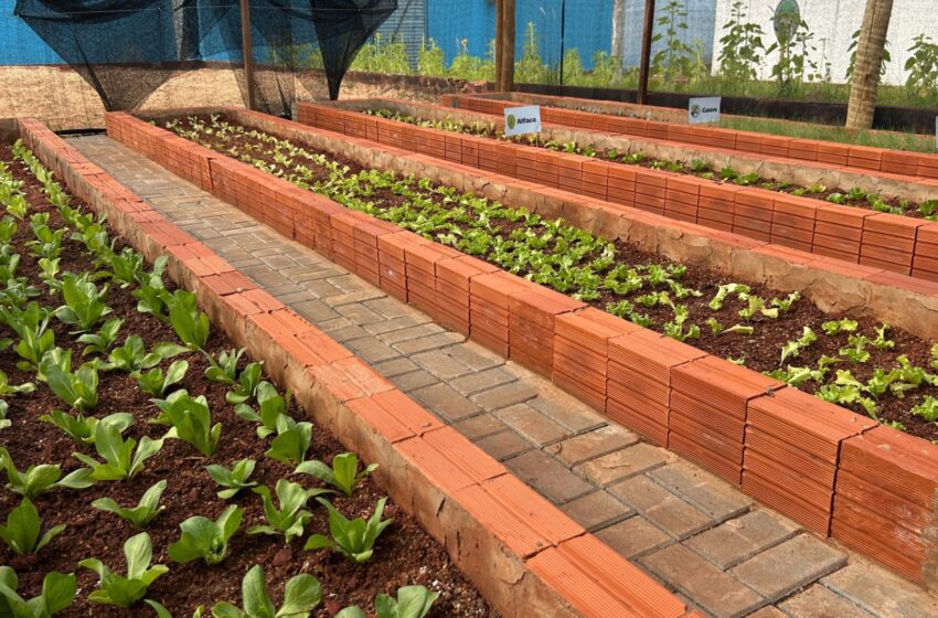  Escola Itael de Mattos inaugura horta com sistema sustentável de irrigação em Santa Fé do Sul