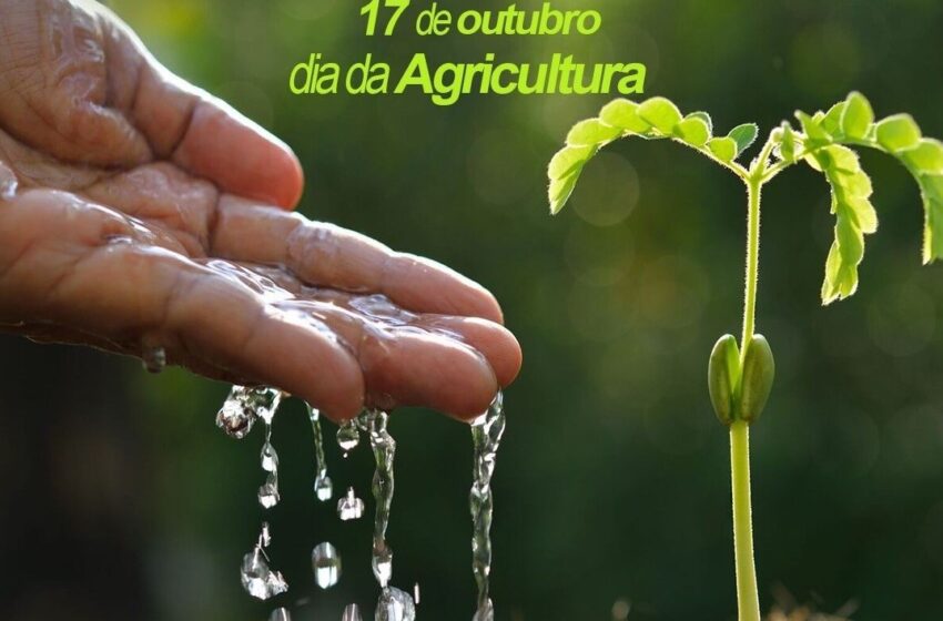  Santa Fé do Sul celebra o Dia da Agricultura e valoriza o trabalho dos produtores rurais