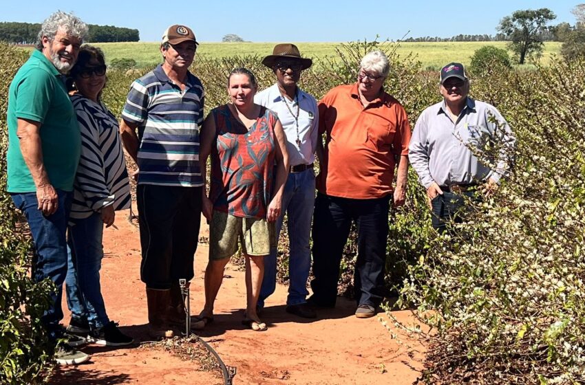  Produtores rurais da região visitam Santa Fé para conhecer a cafeicultura do município