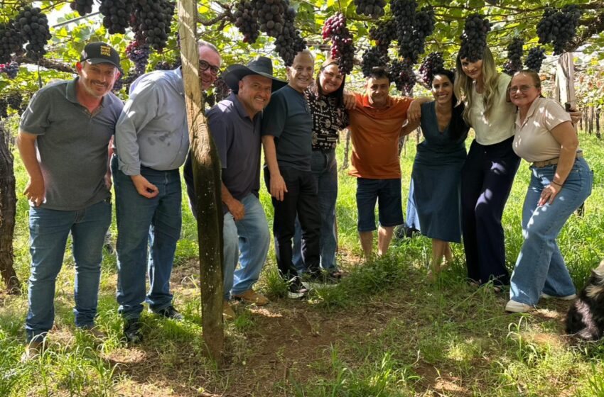  Secretário Estadual visita Palmeira D’Oeste e se encanta com a Qualidade da Uva produzida no Município