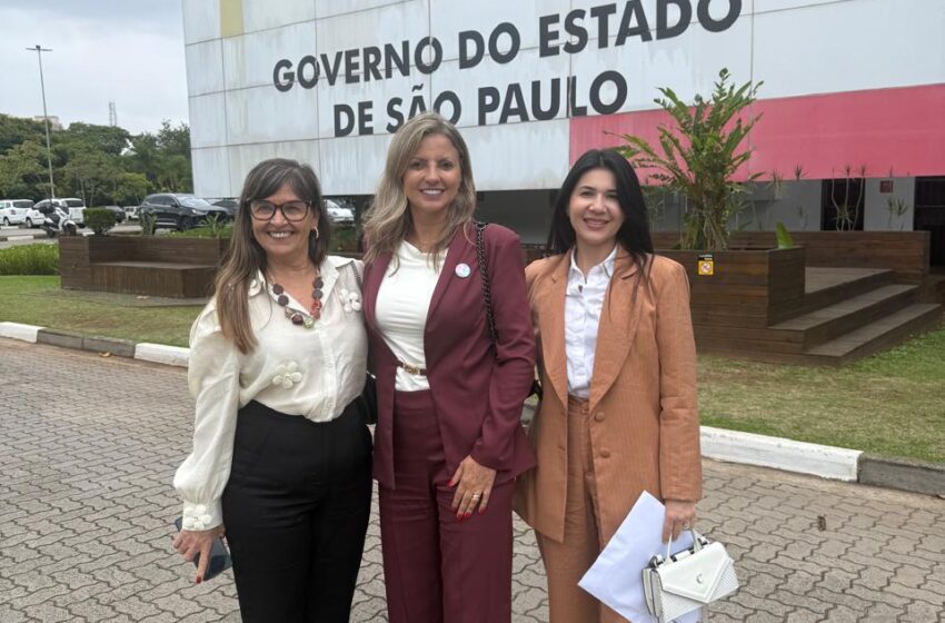  Agenda em São Paulo fortalece parcerias por mais cursos e empregos em Santa Fé do Sul