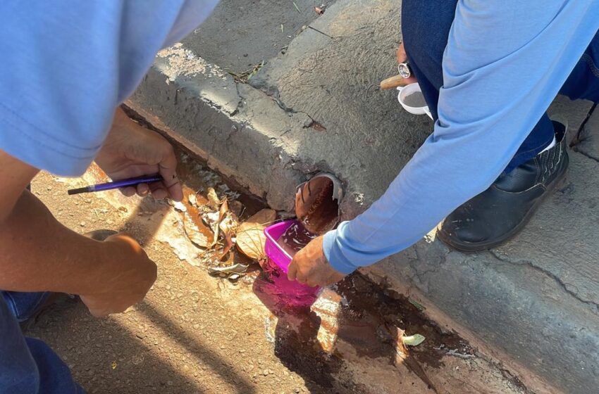  Secretaria de Saúde de Santa Fé do Sul lança projeto piloto contra a dengue com apoio da GVE de Jales