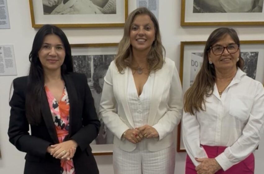  Santa Fé do Sul leva reivindicações ao Fundo Social em audiência no Palácio dos Bandeirantes