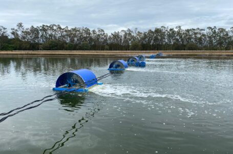 Prefeitura e SAAE instalam novo sistema de aeração para elevar a qualidade do tratamento de esgoto