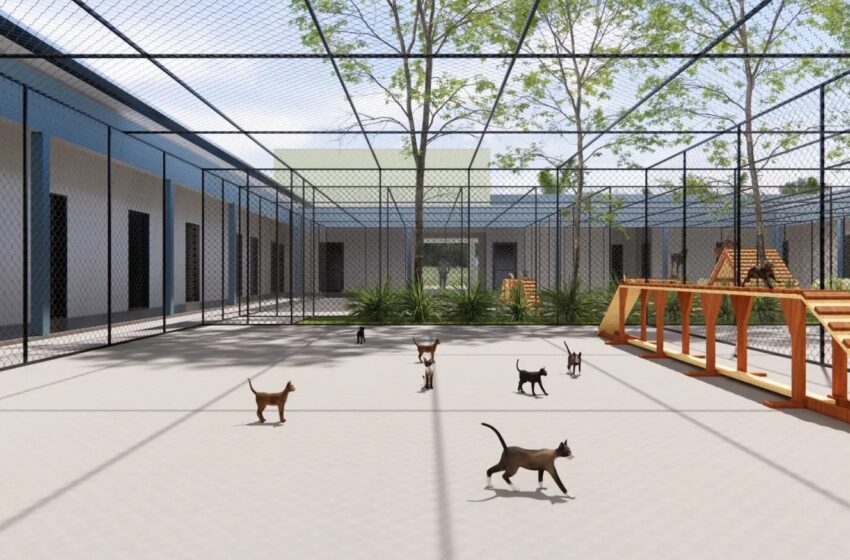  Santa Fé do Sul terá novo Canil Municipal e amplia política de saúde animal