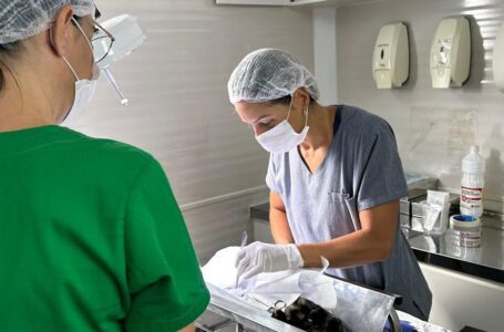 Santa Fé do Sul supera 3 mil animais castrados e chipados com o Castramóvel